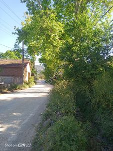 Arsa-Konut İmarlı