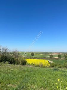 Arsa-Tarla