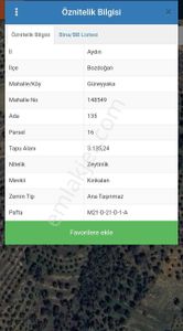 Arsa-Zeytinlik