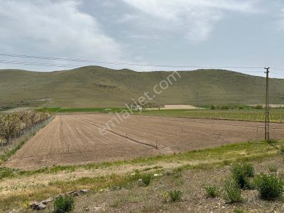 Arsa-Tarla