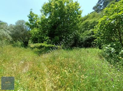 Arsa-Tarla