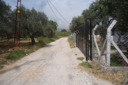 Arsa-Bağ & Bahçe