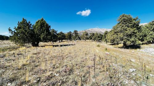 Arsa-Tarla