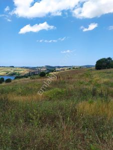 Arsa-Tarla