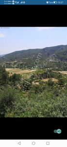 Arsa-Tarla