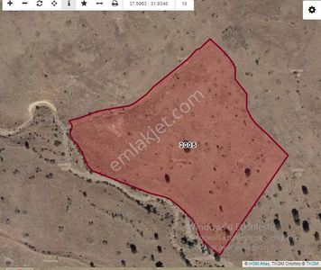 Özpınar ,dan Çavuş Köyü Satılık Tarla 22 300 M2 Ormana 100 Metre.