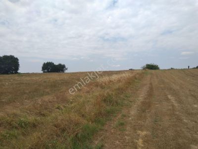Arsa-Tarla