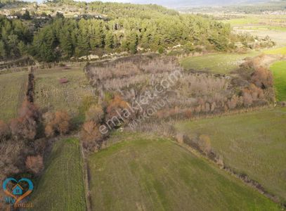 Arsa-Tarla