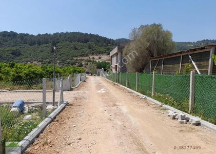 Arsa-Bağ & Bahçe