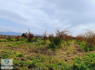 Arsa-Tarla