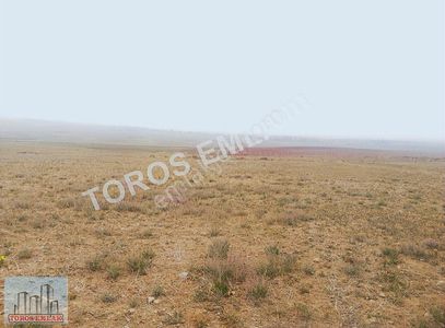 Arsa-Tarla