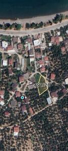 Arsa-Zeytinlik