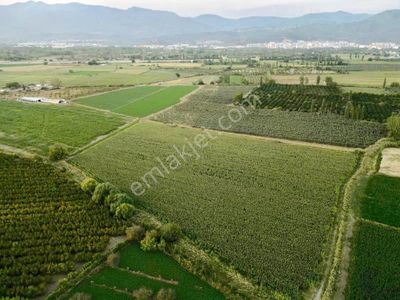 Arsa-Tarla