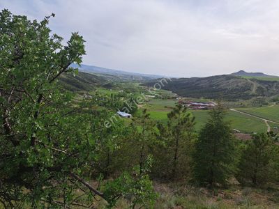 Arsa-Tarla