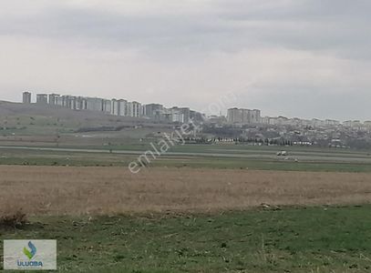 Arsa-Tarla