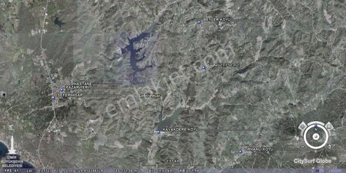 Arsa-Zeytinlik