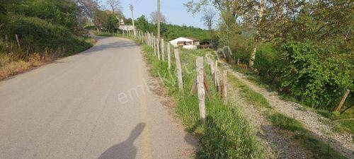 Arsa-Konut İmarlı