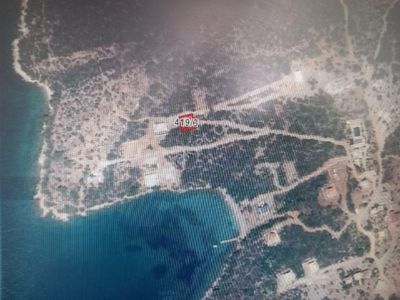 Arsa-Zeytinlik