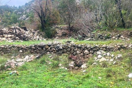Arsa-Konut İmarlı