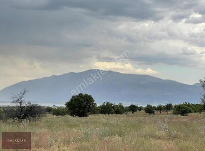 Arsa-Tarla