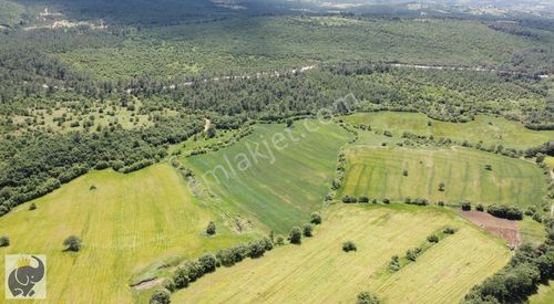 Arsa-Tarla