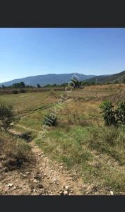 Arsa-Tarla