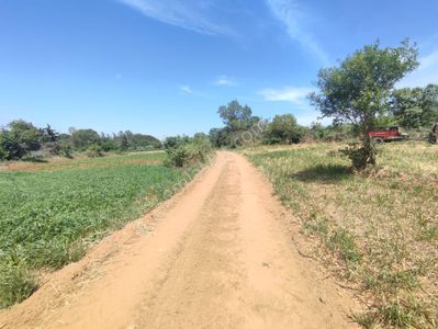Arsa-Tarla