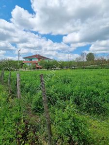 Arsa-Tarla