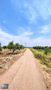 Arsa-Konut İmarlı
