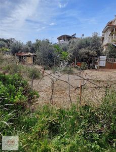 Arsa-Villa İmarlı