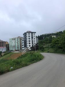 Arsa-Konut İmarlı