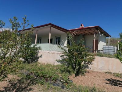 Arsa-Bağ & Bahçe