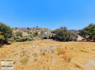 Arsa-Villa İmarlı