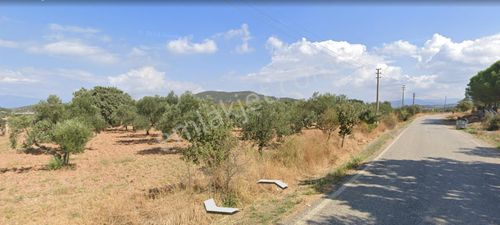 Arsa-Konut İmarlı
