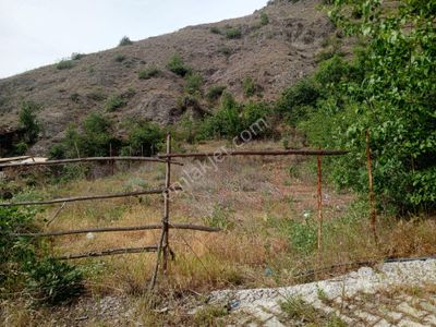 Arsa-Bağ & Bahçe