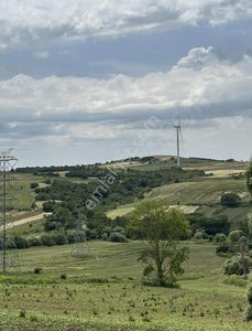 Arsa-Tarla