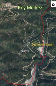 Arsa-Zeytinlik