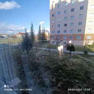 Konut-Daire