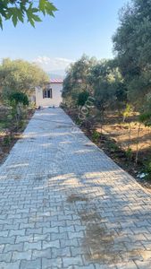 Arsa-Bağ & Bahçe