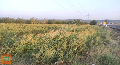 Arsa-Tarla