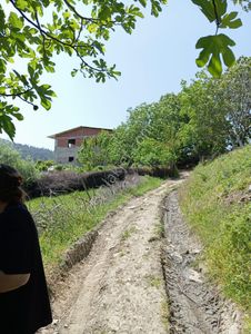 Arsa-Tarla