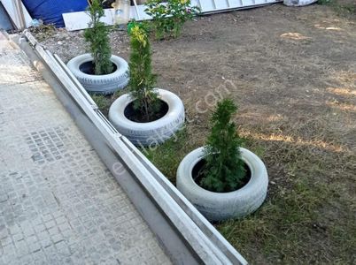 Arsa-Bağ & Bahçe