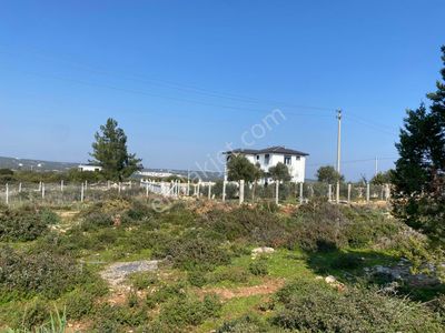 Arsa-Villa İmarlı