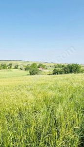 Arsa-Tarla