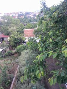Konut-Daire