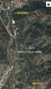 Arsa-Zeytinlik