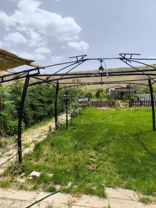 Arsa-Bağ & Bahçe
