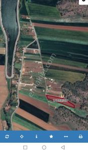 Arsa-Tarla