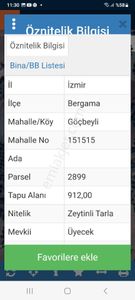 Arsa-Zeytinlik