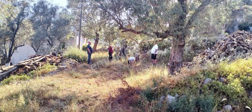 Arsa-Tarla